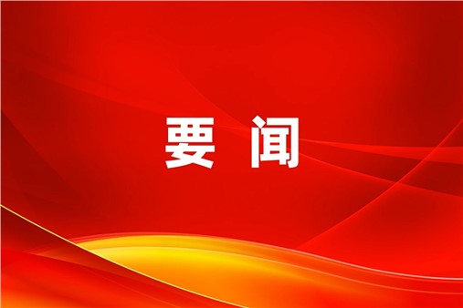 中国有色金属工业协会副会长王健一行莅临方恒新材调研指导